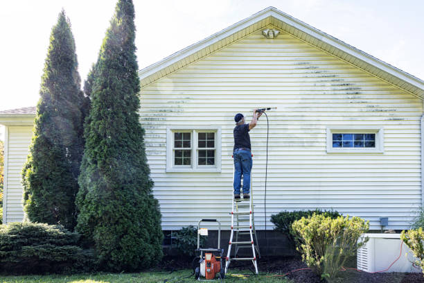 Best Roof Washing  in Hampton, TN